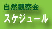 自然観察会スケジュール