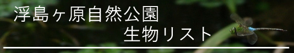 浮島ヶ原自然公園　生き物リスト