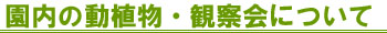 園内の動植物・観察会について