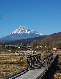 利用案内