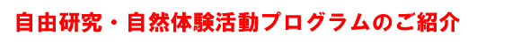 自由研究・自然体験活動プログラム